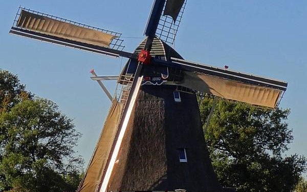 HoltensNieuws.nl Start grote molenrestauratie De Hegeman in Dijkerhoek Start grote molenrestauratie De Hegeman in Dijkerhoek gemeente dijkerhoek