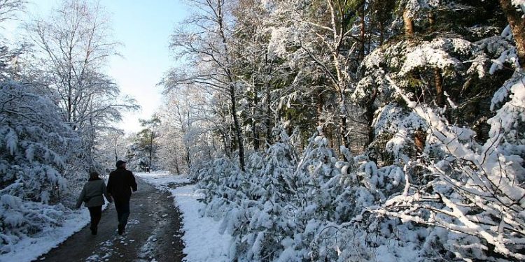 HoltensNieuws.nl Midwinterwandeling in Holten 2011 Midwinterwandeling in Holten 2011