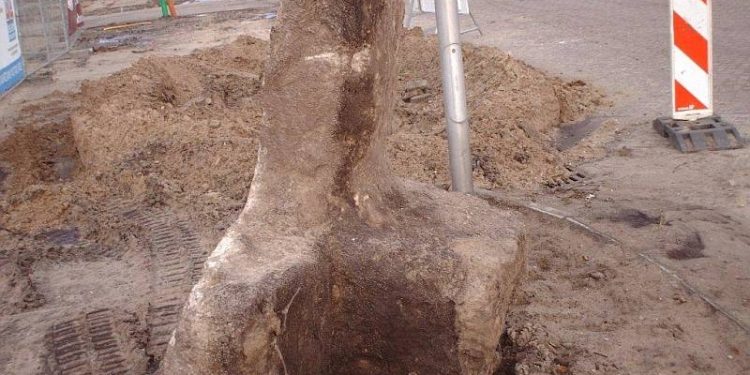 HoltensNieuws.nl Kunst op Rotonde Kunst op Rotonde