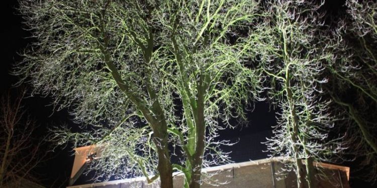 HoltensNieuws.nl Oecumenischen Kerstnachtdeenst in de modersproak Oecumenischen Kerstnachtdeenst in de modersproak