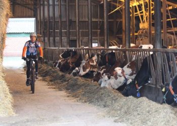 Fietsers genieten van veldtoertocht in Holten wielervereniging sallandse heuvelrug canadese begraafplaats 