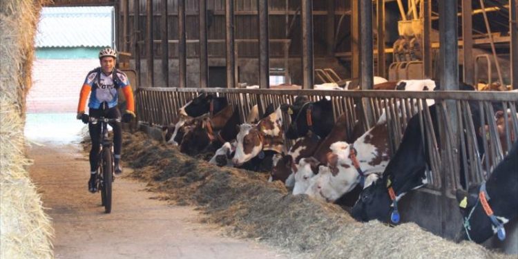 HoltensNieuws.nl Beemd- en Bergtoer was zwaar Beemd- en Bergtoer was zwaar wielervereniging beuseberg