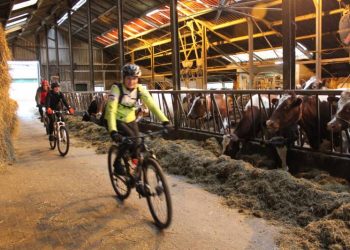 Beemd- en Bergtoer was zwaar wielervereniging beuseberg 
