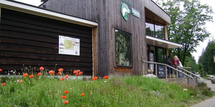 HoltensNieuws.nl Met Pasen naar de Holterberg Met Pasen naar de Holterberg natuurdiorama canadese begraafplaats