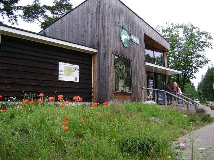 Met Pasen naar de Holterberg natuurdiorama canadese begraafplaats 