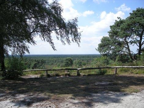 Stem op Holten Wandelgemeente gemeente 