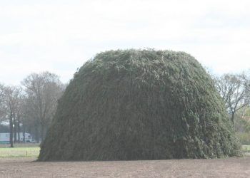 Rondje paasvuren met uitslag paasvuur espelo 