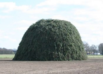 Rondje paasvuren met uitslag paasvuur espelo 