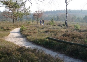 Salland op de fiets sallandse heuvelrug 