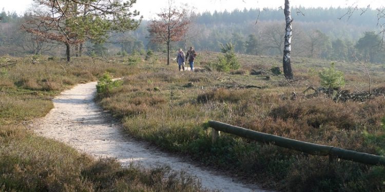 Wandelgemeente van het Jaar 2012 sallandse heuvelrug gemeente canadese begraafplaats 