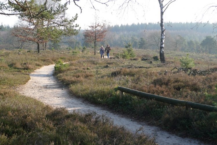 Wandelgemeente van het Jaar 2012 sallandse heuvelrug gemeente canadese begraafplaats 