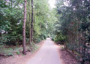 HoltensNieuws.nl Speerpunten SGP kadernota Speerpunten SGP kadernota gemeente