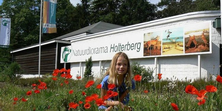 Inspirerende wandeling over de Holterberg natuurdiorama 