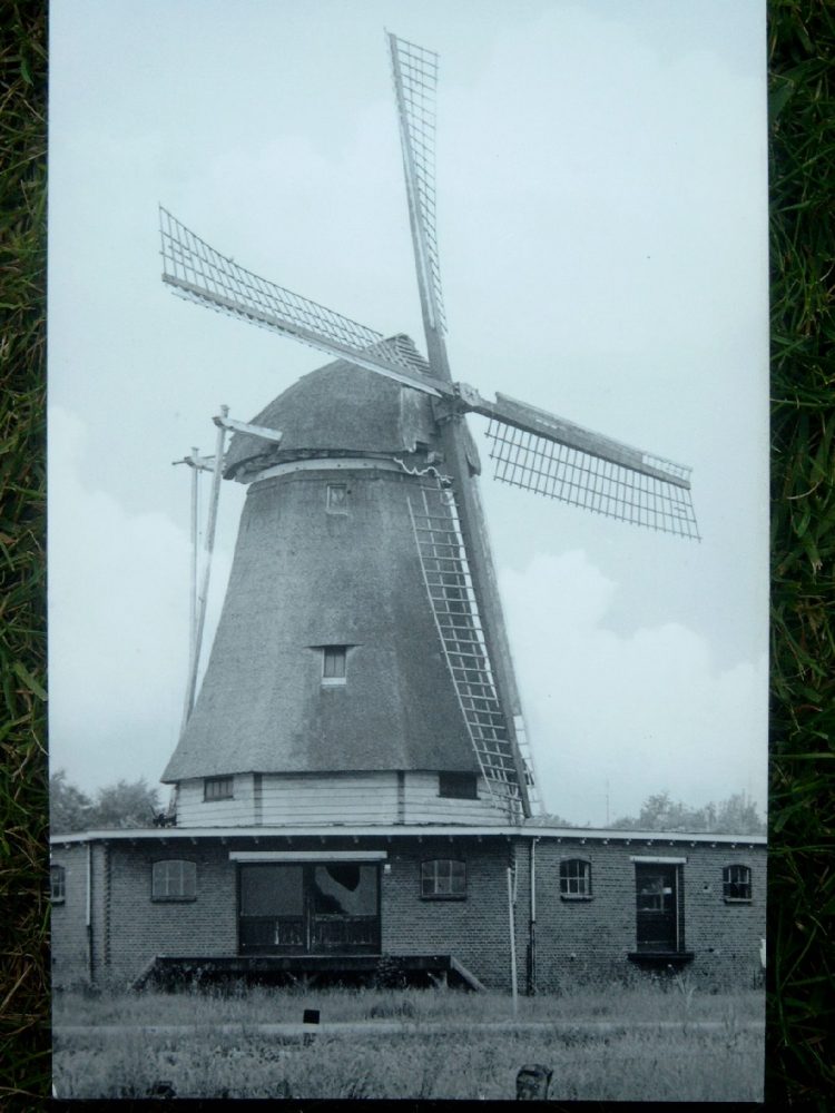 12 mei: Feestelijke afsluiting restauratie Korenmolen de Hegeman. gemeente dijkerhoek 