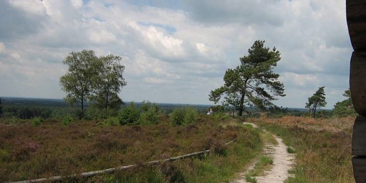 Dauw-wandelen op de Holterberg natuurdiorama 