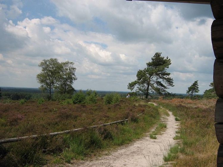 Dauw-wandelen op de Holterberg natuurdiorama 