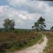 Hemelvaartsfietstocht vanuit jeugdhonk ‘de Liesen’ 