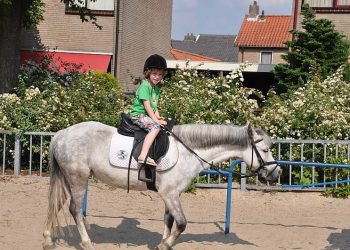 HoltensNieuws.nl Vermiste Rijssenaar dood aangetroffen Vermiste Rijssenaar dood aangetroffen politie