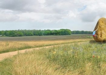 HoltensNieuws.nl Reunie Kolschool/Holterenk een grandioos succes Reunie Kolschool/Holterenk een grandioos succes oudheidkamer