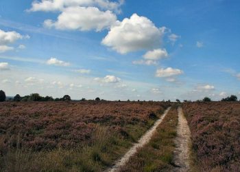 Met Pasen naar de Holterberg natuurdiorama canadese begraafplaats 