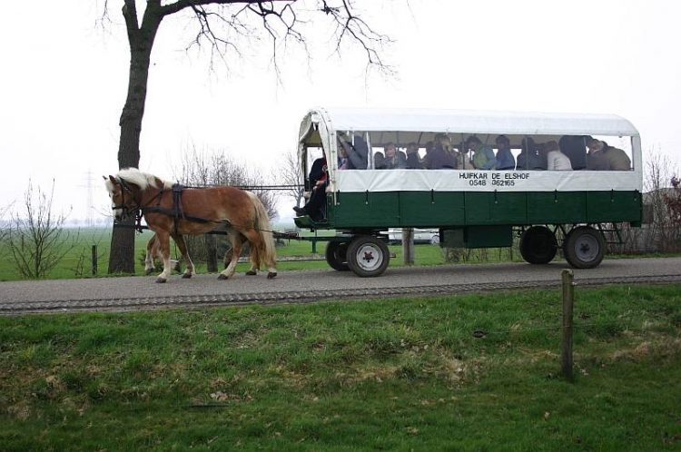 Huifkartocht rondom Holten smidsbelt 