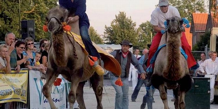 HoltensNieuws.nl Programma Sploder Feest 2012 Programma Sploder Feest 2012 triathlon hmv espelo