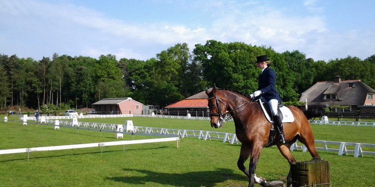 HoltensNieuws.nl Bergruiters in de prijzen Bergruiters in de prijzen