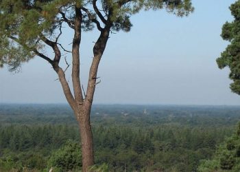 Dag van de nationale parken sallandse heuvelrug nijkamp dondertman 