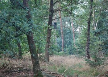 Met Pasen naar de Holterberg natuurdiorama canadese begraafplaats 