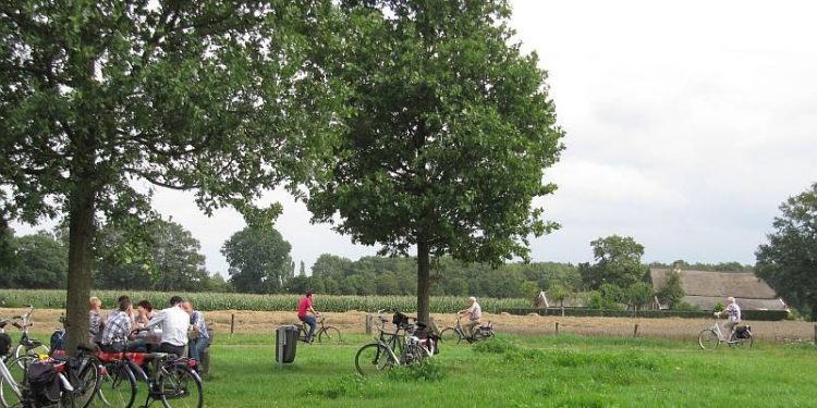 Smaakfietsroute Sallandse Heuvelrug sallandse heuvelrug natuurdiorama 