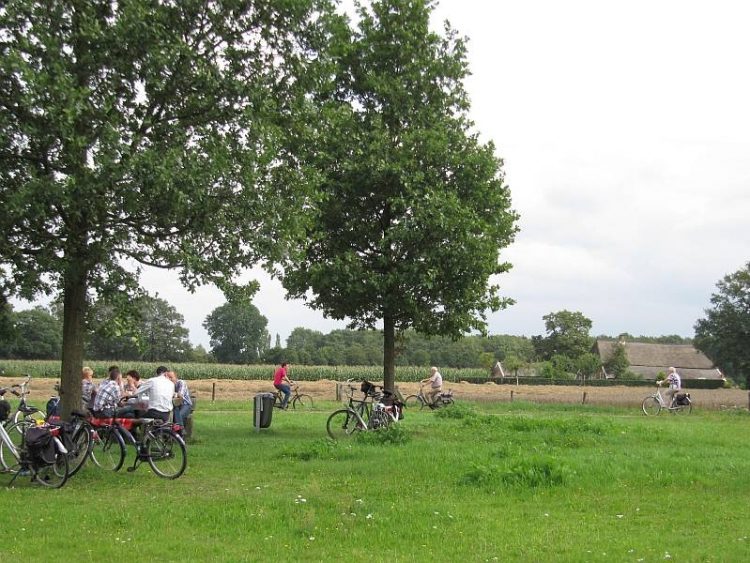 Smaakfietsroute Sallandse Heuvelrug sallandse heuvelrug natuurdiorama 