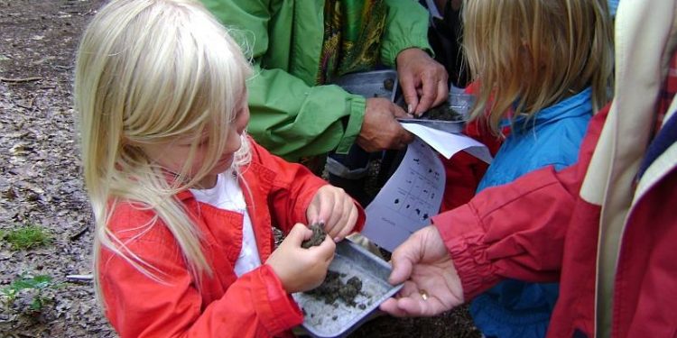 ”Nature Experience” op de Holterberg natuurdiorama 