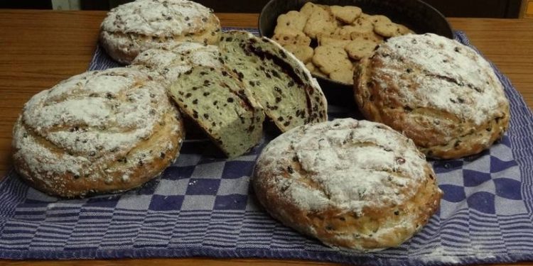 HoltensNieuws.nl Holten wordt duurzaam. Holten wordt duurzaam. nijkamp natuurdiorama duurzaam holten de waerdenborch