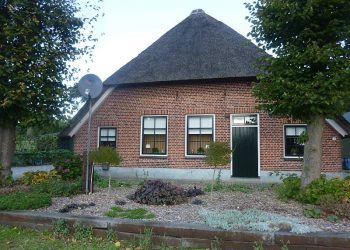Carnaval voor mensen met een beperking. snorrewind fienpreuvers carnaval 