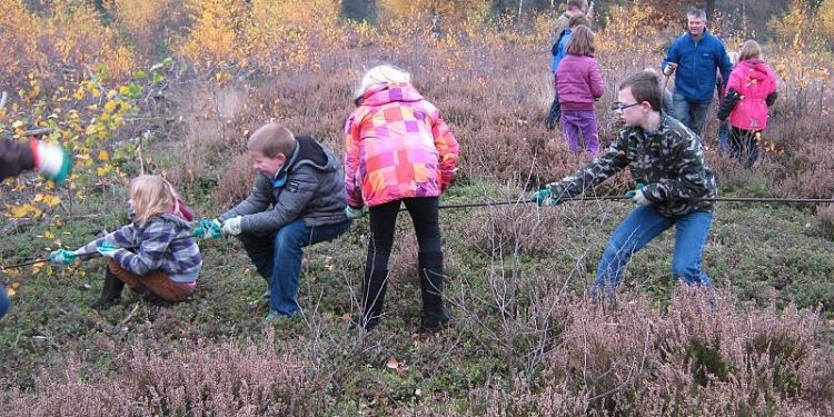 HoltensNieuws.nl Bosschool de hei op Bosschool de hei op
