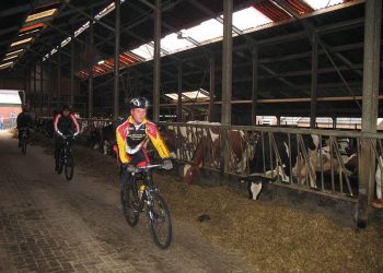 Open 2013 sportief met veldtoertocht in Holten wielervereniging beuseberg 