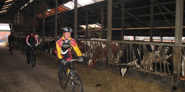 Open 2013 sportief met veldtoertocht in Holten wielervereniging beuseberg 