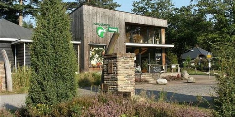 Tweede Kerstdag: Midwinterhoorn op het Holterbergplein natuurdiorama 