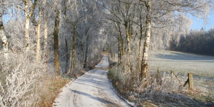 Midwinterwandeling op Holterberg canadese begraafplaats 