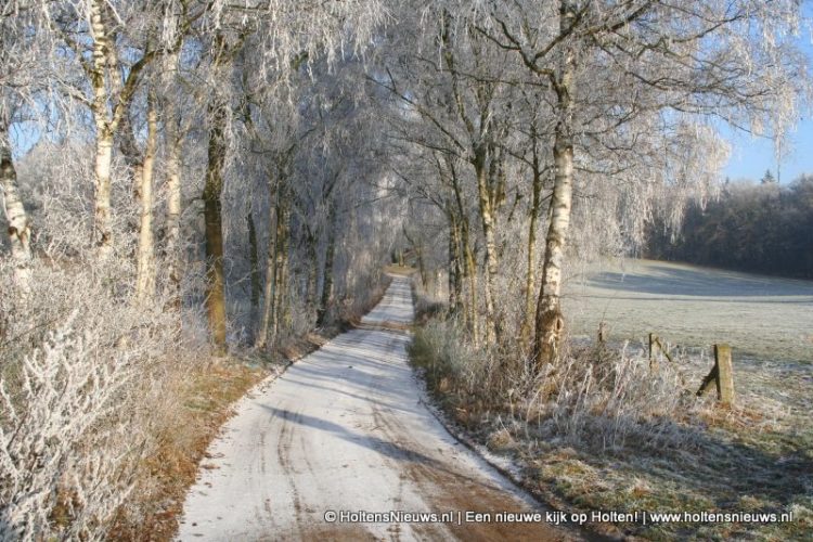 Midwinterwandeling op Holterberg canadese begraafplaats 