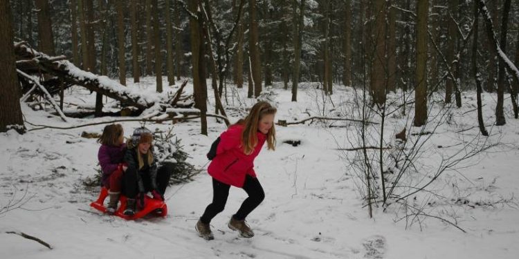 HoltensNieuws.nl Sneeuwpret! Sneeuwpret!