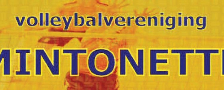 Volleybal mintonette 