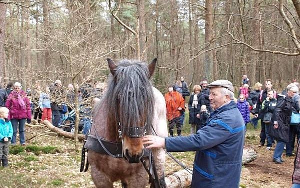 Geweldenaren aan het werk natuurdiorama 