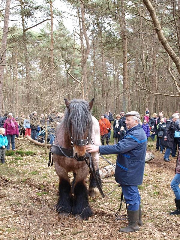 Geweldenaren aan het werk natuurdiorama 