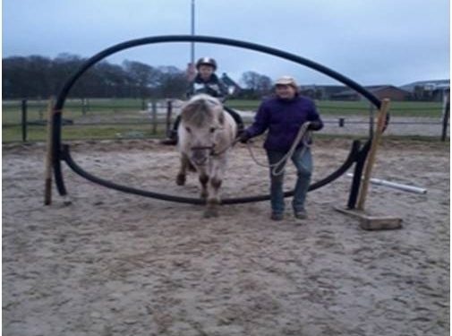 Open dag Ponyvriendjes 
