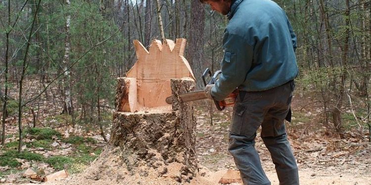 HoltensNieuws.nl Koninklijke troon in het Bos van Daantje Das Koninklijke troon in het Bos van Daantje Das natuurdiorama