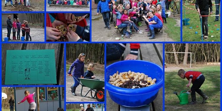 HoltensNieuws.nl Moestuin zeskamp bij de Bosschool Moestuin zeskamp bij de Bosschool