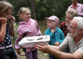 Tweede Kerstdag: Midwinterhoorn op het Holterbergplein natuurdiorama 