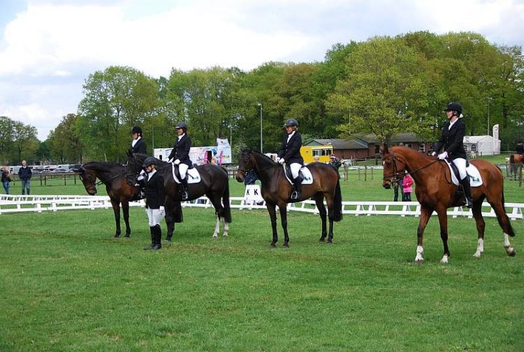 Bergruiters concours nijkamp 
