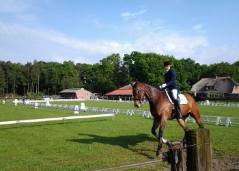 Bergruiters concours nijkamp 